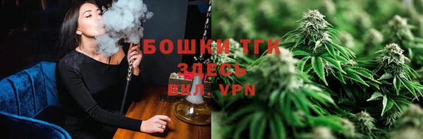 Альфа ПВП Мегион